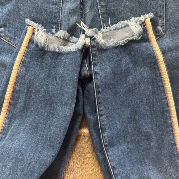 Abercrombie Harper Low Rise Ankle Jeans Denim 26 2R Blue Tan Gold Stripe Raw Hem - Picture 3 of 4